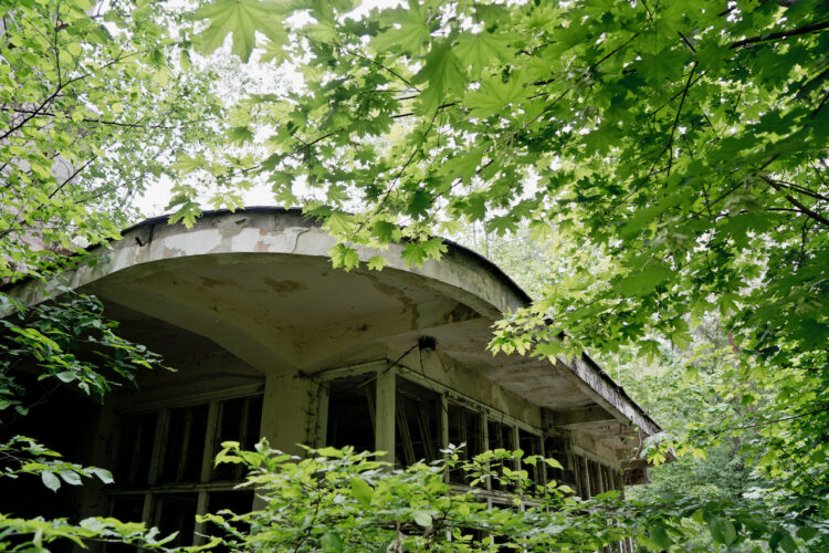Zelená